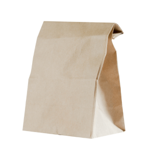 Brown Bag Assignment Icebreaker Brown Bag Assignment Icebreaker