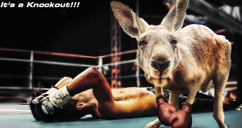 Knockout Your College Speech with a Great Topic Knockout Your College Speech with a Great Topic