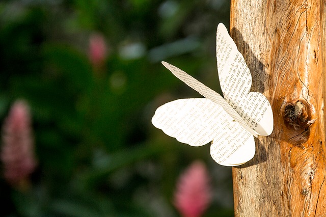 Poems on Death - Paper Butterfly on Tree Trunk