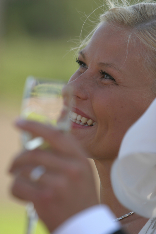 wedding toast speeches wedding toast speeches